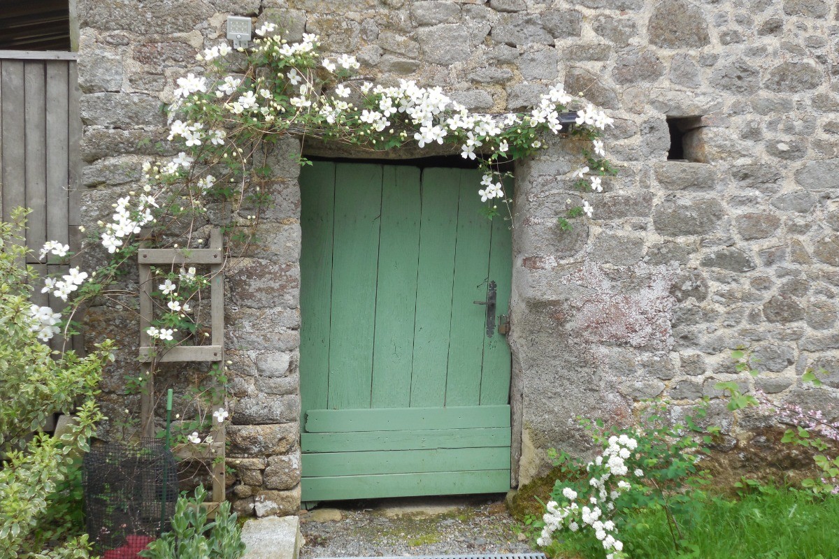 Fleurs au printemps