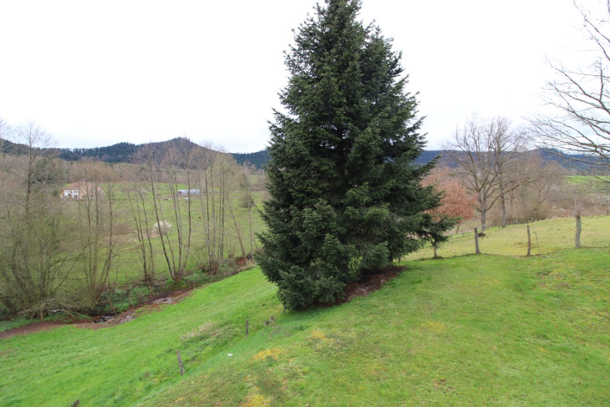 Vue sur la nature depuis les chambres - Gîte Chez Lucie