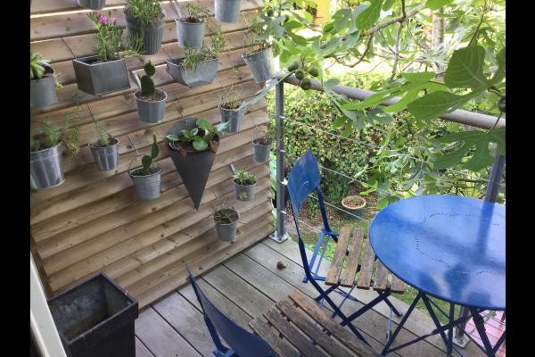 Balcon du lotus bleu