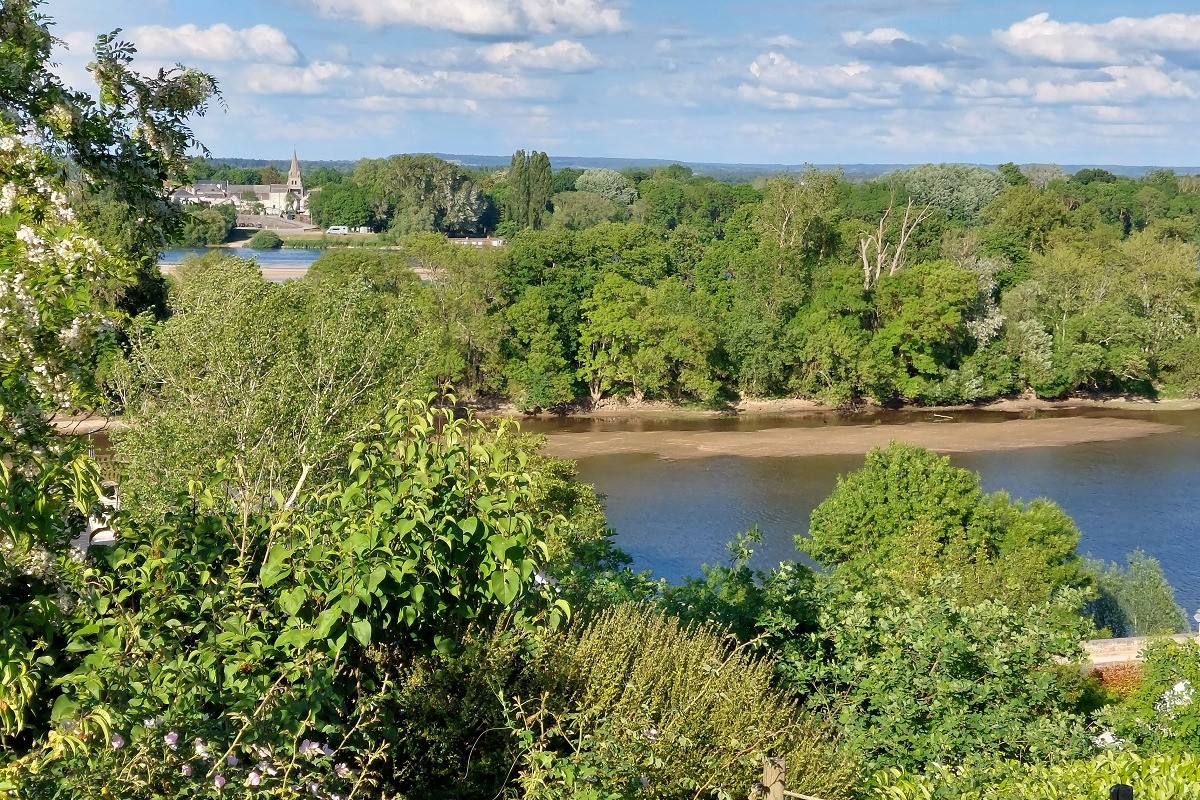 Depuis la terasse, l'île Gautier, entre Chênehutte et St Martin de la Place