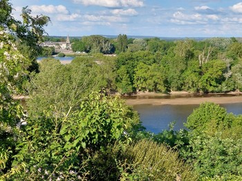Depuis la terasse, l'île Gautier, entre Chênehutte et St Martin de la Place