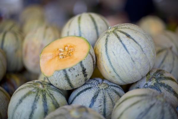Le melon charentais