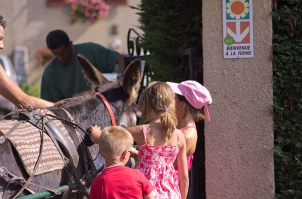 Photo n° 19 of the location