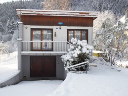 The house in the snow