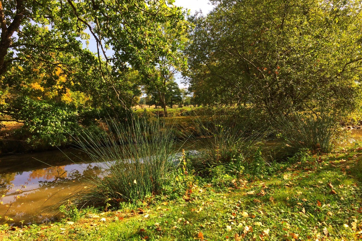 Photo n° 18 of the location