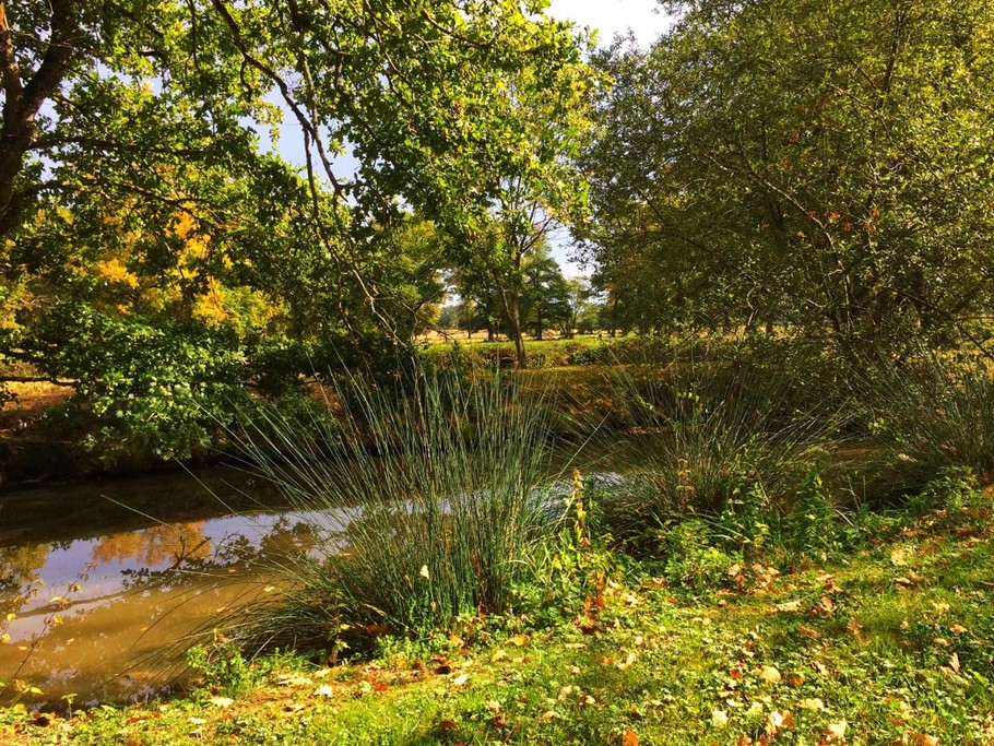 Photo n° 18 of the location