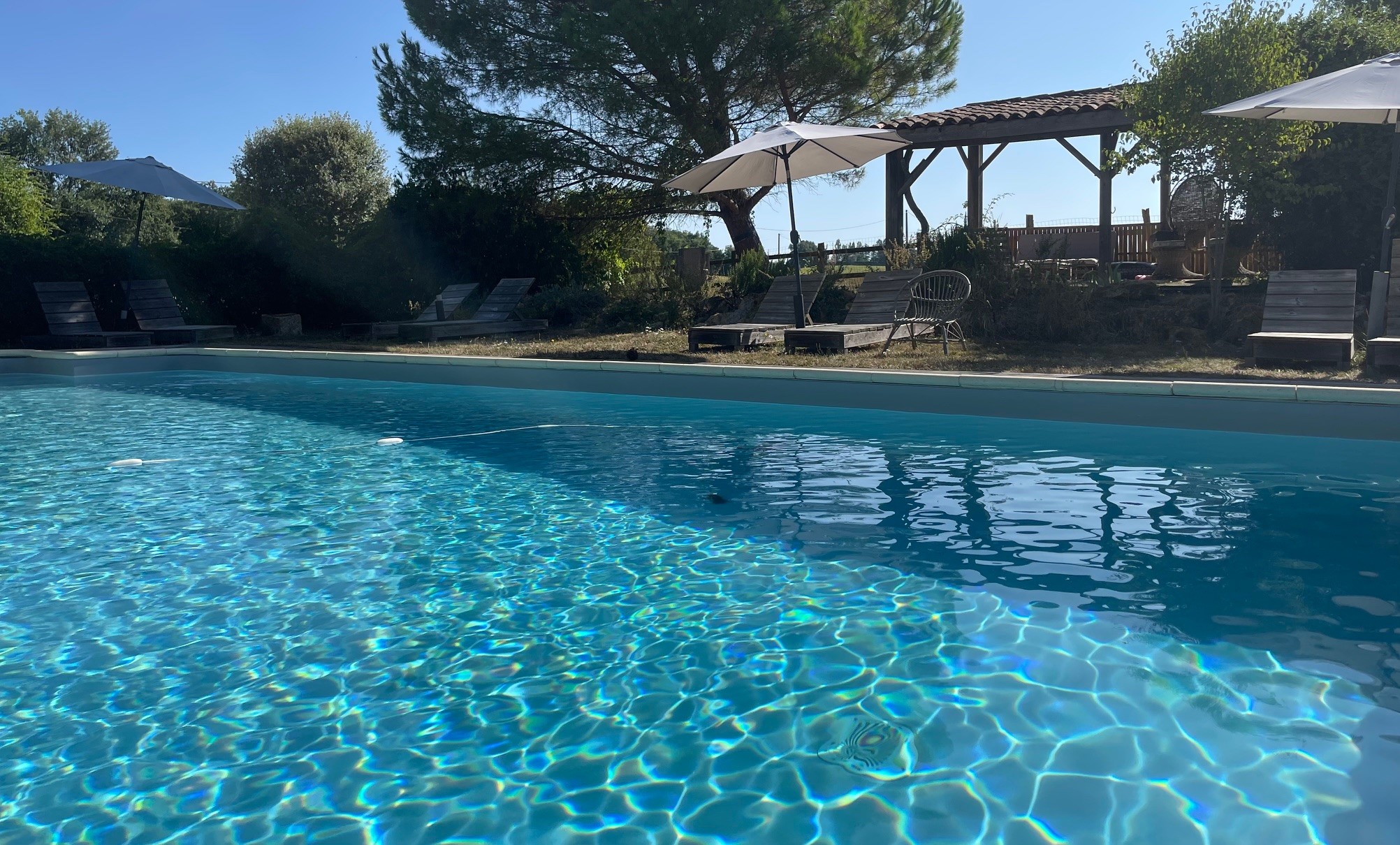 Photo n° 12 de la location