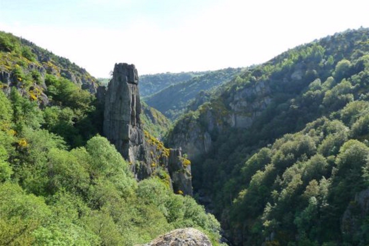 Photo n° 4 de la location