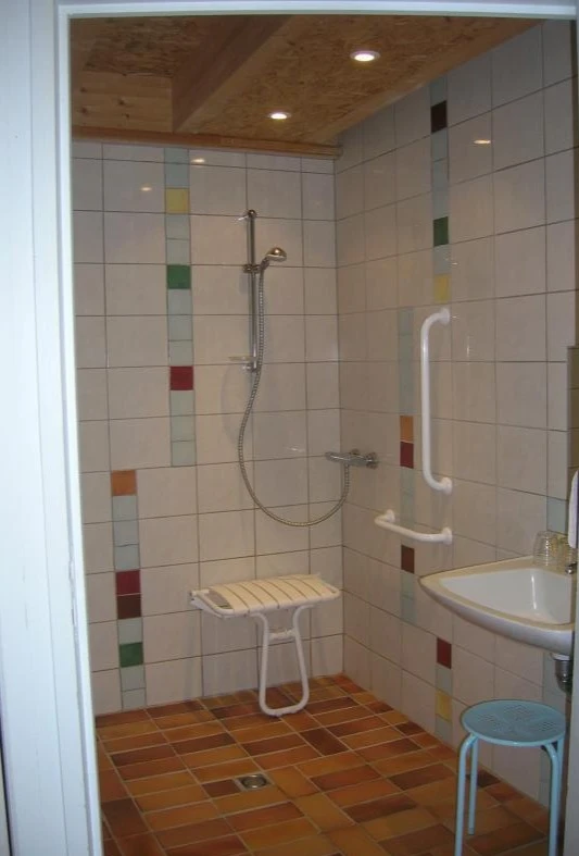 douche italienne (PMR)