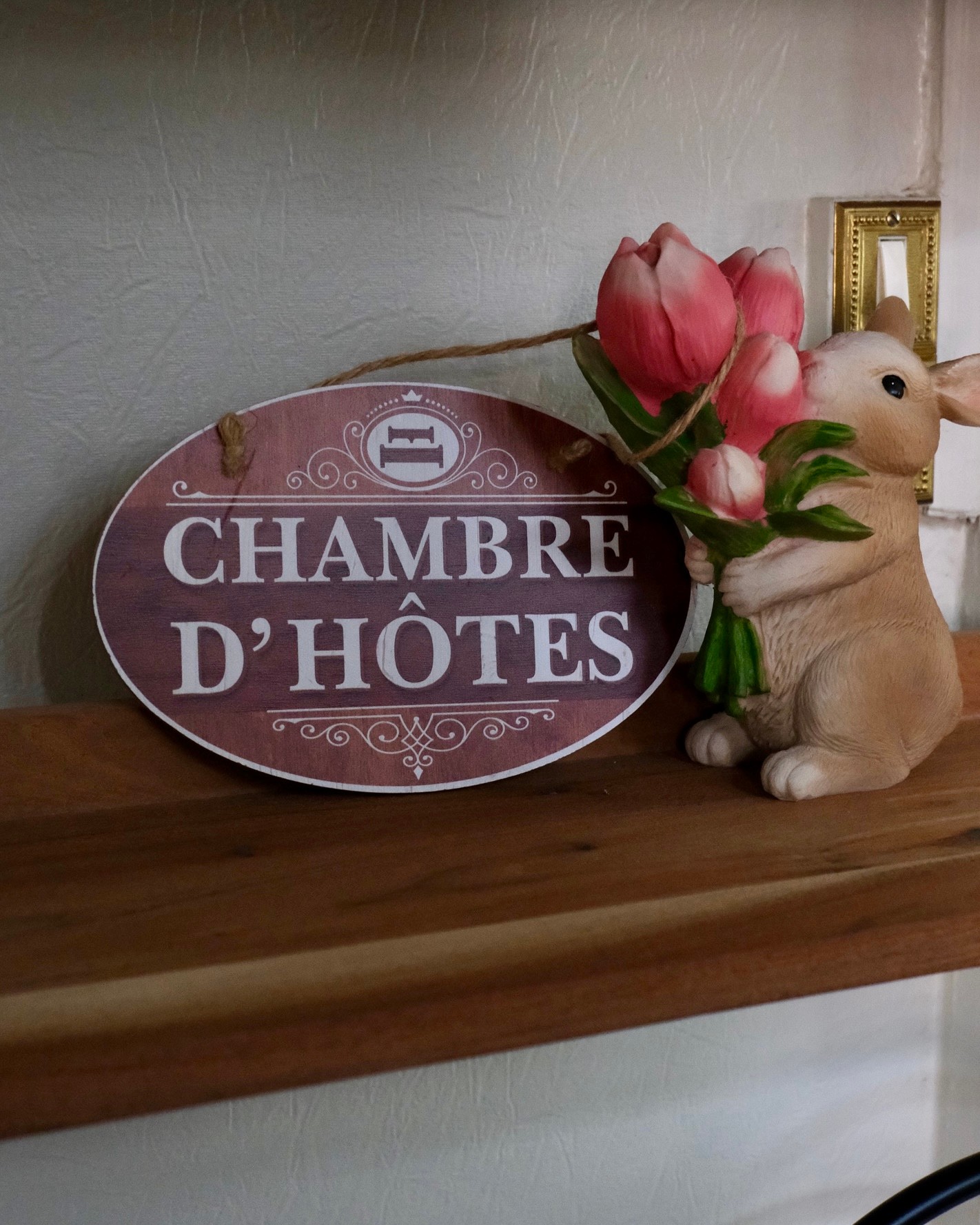 Photo n° 3 de la location