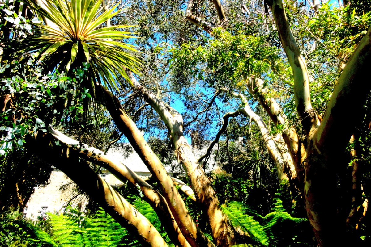 Jardin de Vauville