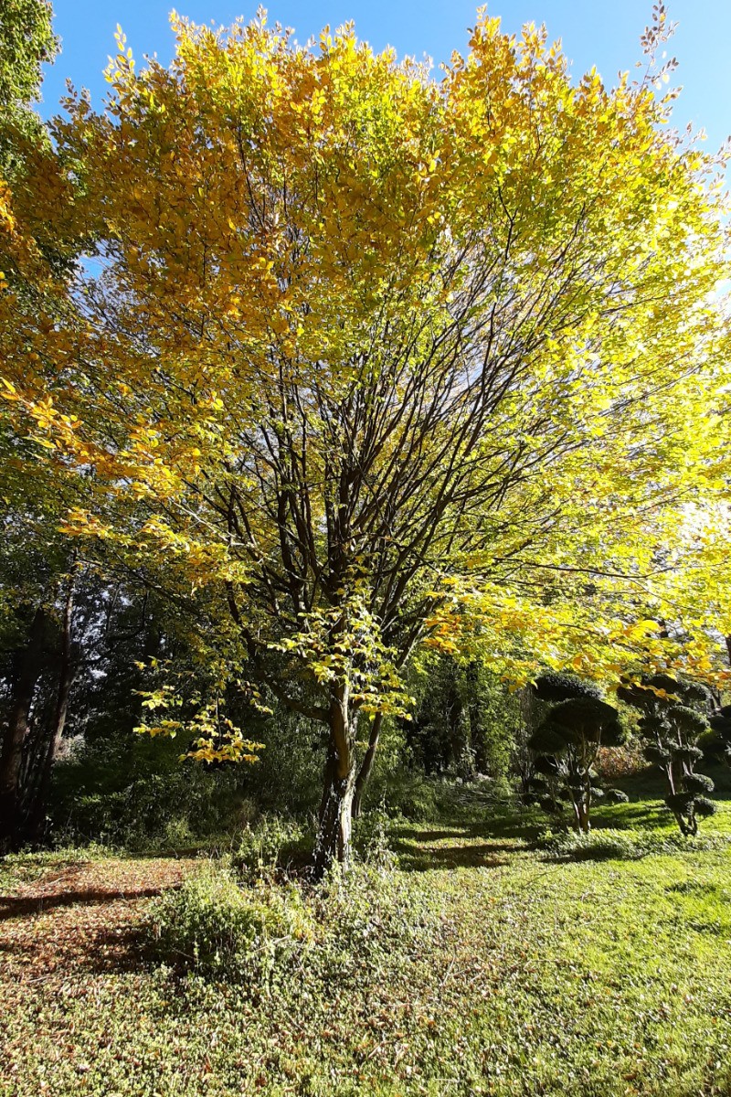 Photo n° 3 de la location