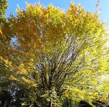 Photo n° 3 de la location