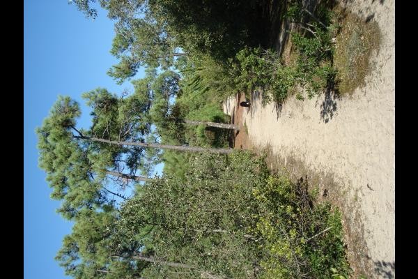 Photo n° 9 de la location
