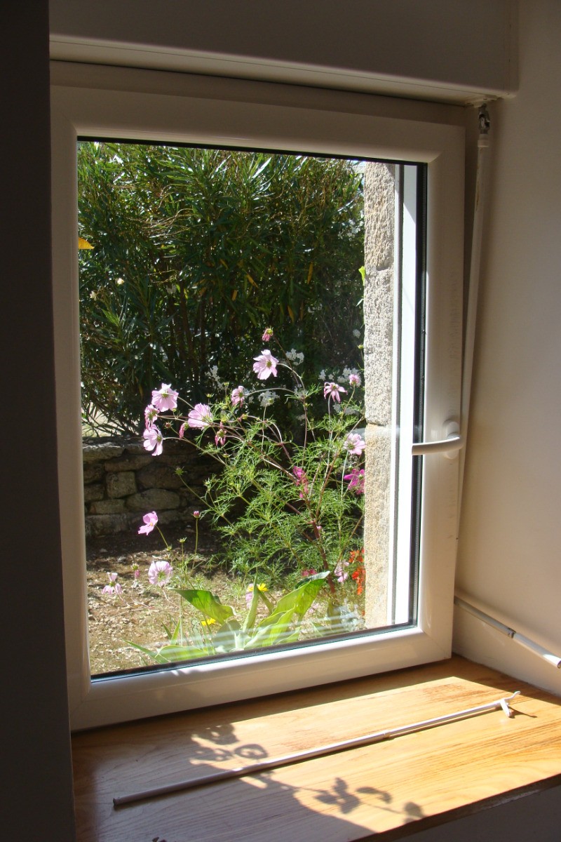 maisonnette pleine de charme - le jardinet attenant