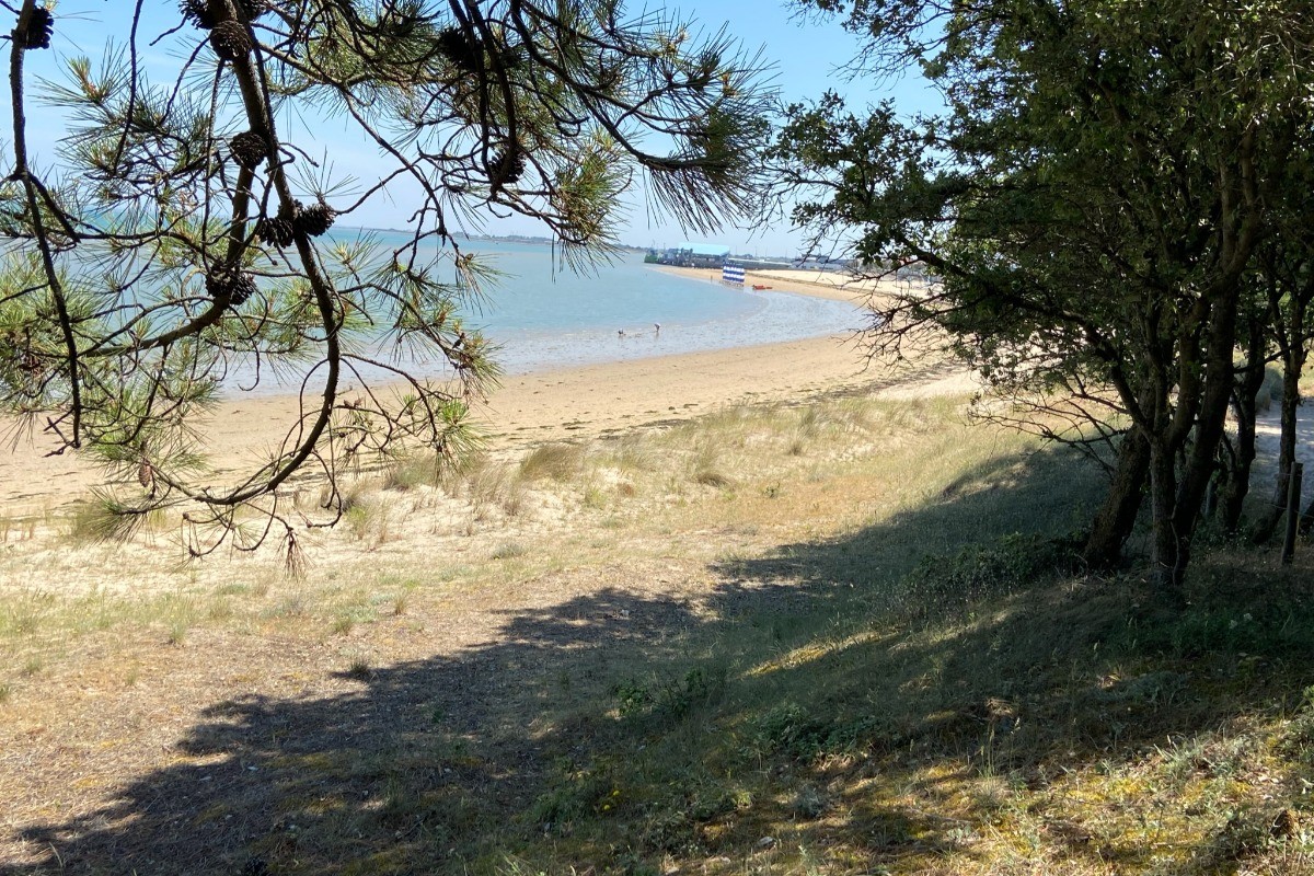 plage de fromentine depuis le sentier dunaire