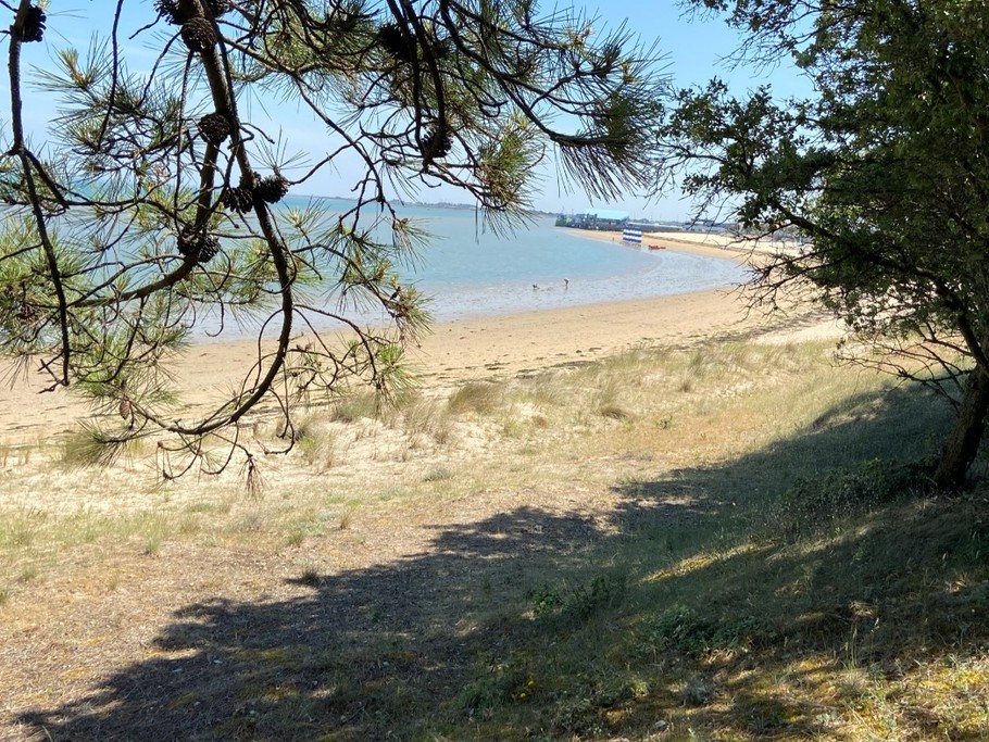 plage de fromentine depuis le sentier dunaire