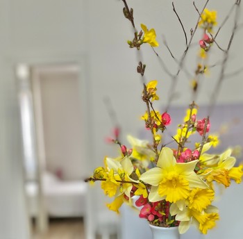 Photo n° 11 of the location