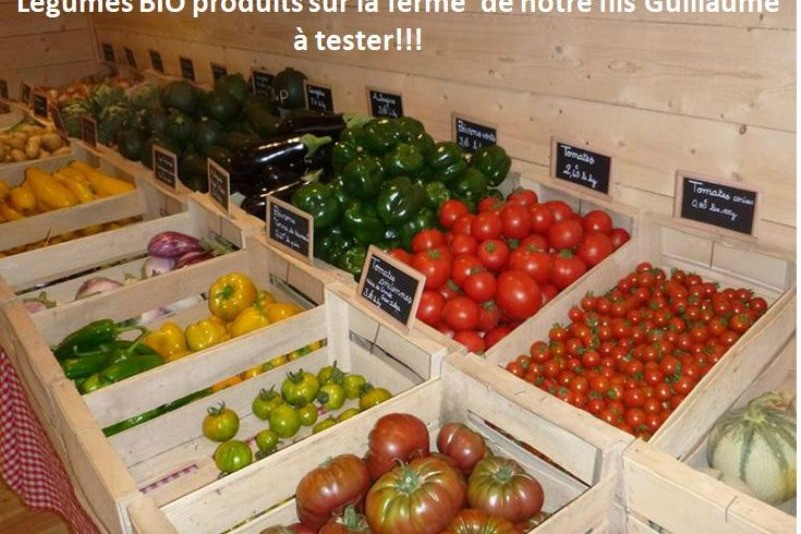 plus de 60 légumes et fruits BIO différents produits chez notre fils Guillaume TROADEC que vous trouverez en vente directe toute l'année  dans son magasin Dolmen et Potager