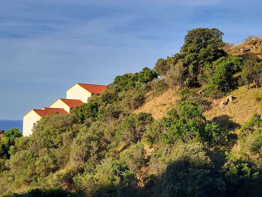 Sur les hauteurs d'Ajaccio