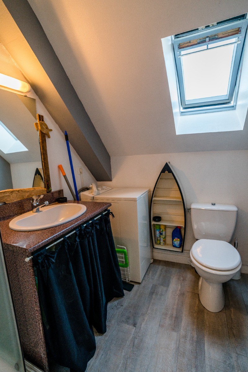La salle d'eau avec douche, WC, lave-linge, fenêtre de toit