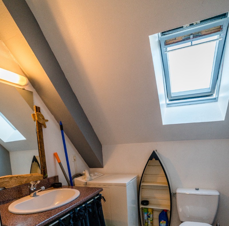 La salle d'eau avec douche, WC, lave-linge, fenêtre de toit