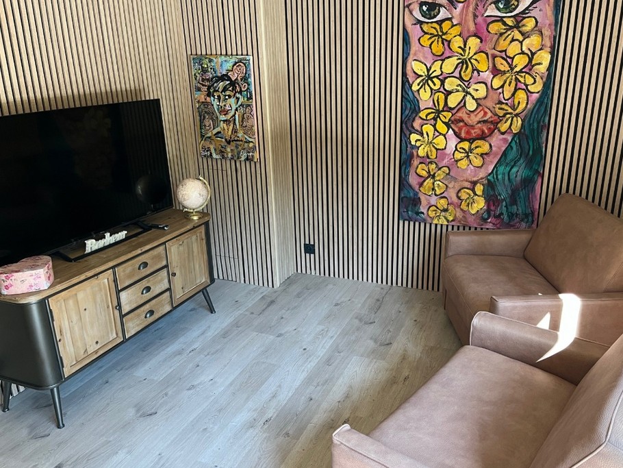 Coin TV avec 2 canapés lit 1 personne confortables