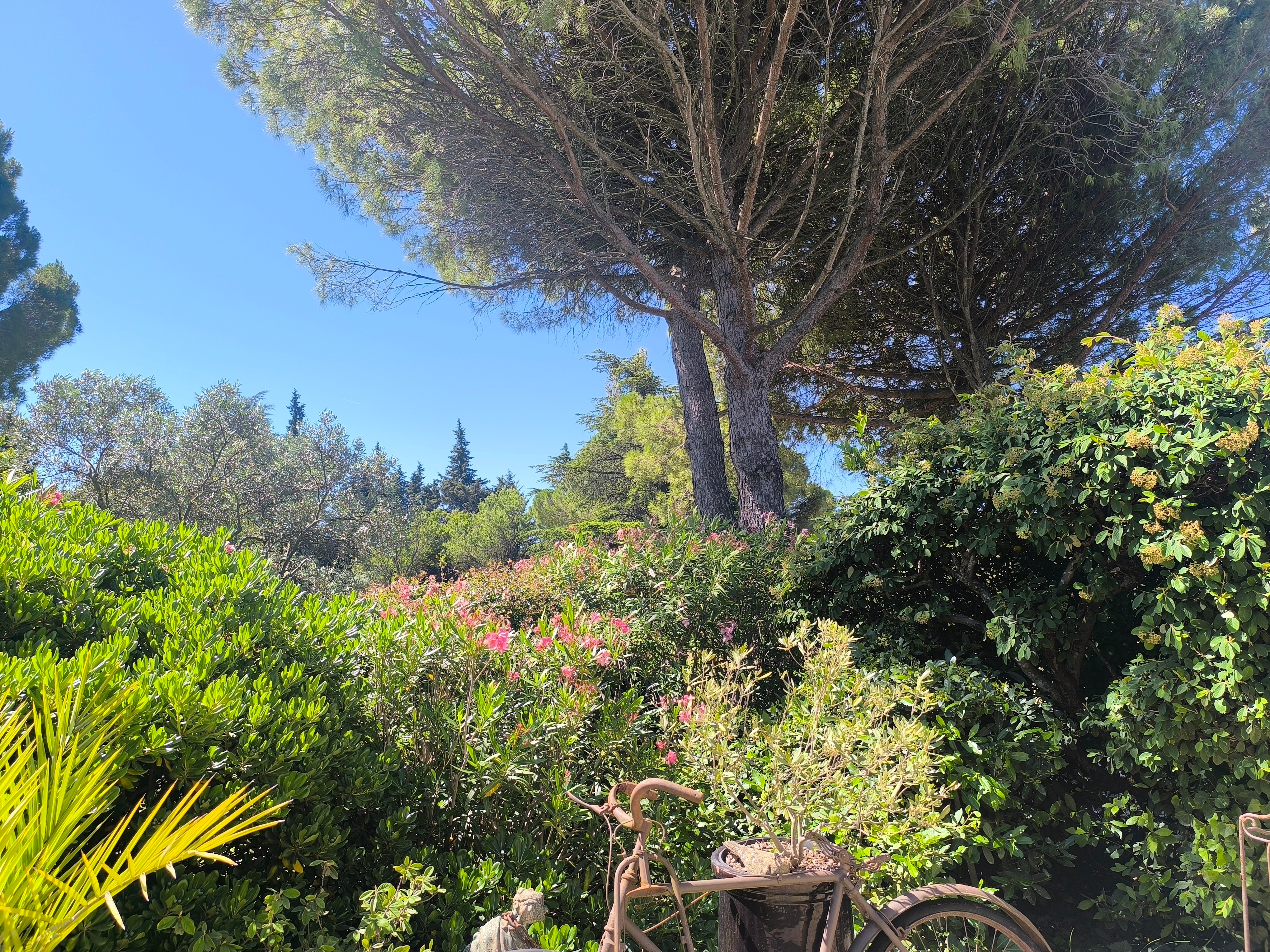 Photo n° 8 de la location