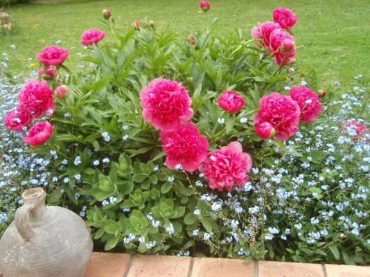 Photo n° 11 of the location