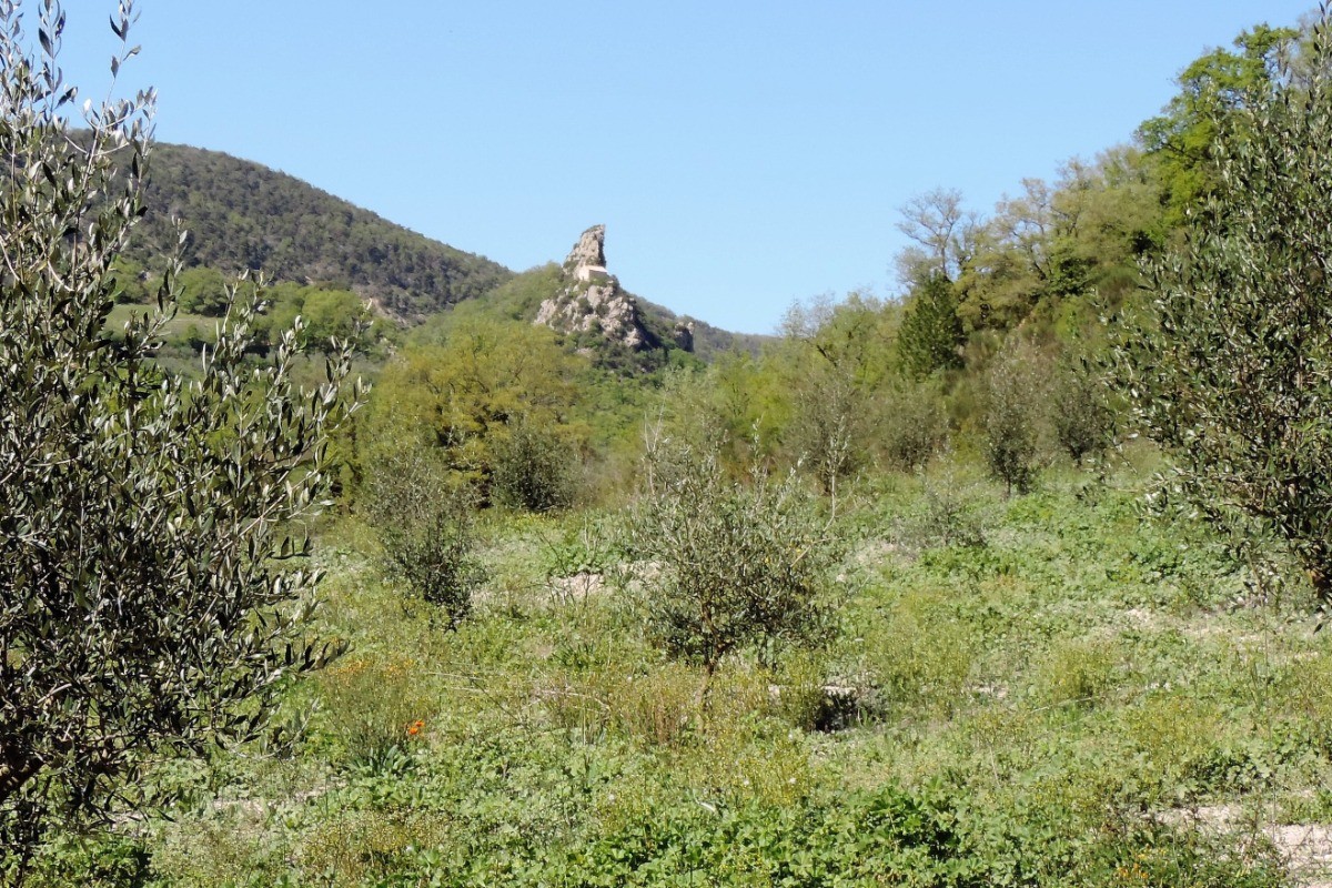 Photo n° 15 of the location