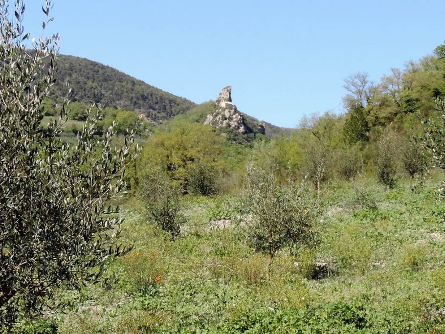 Photo n° 15 de la location