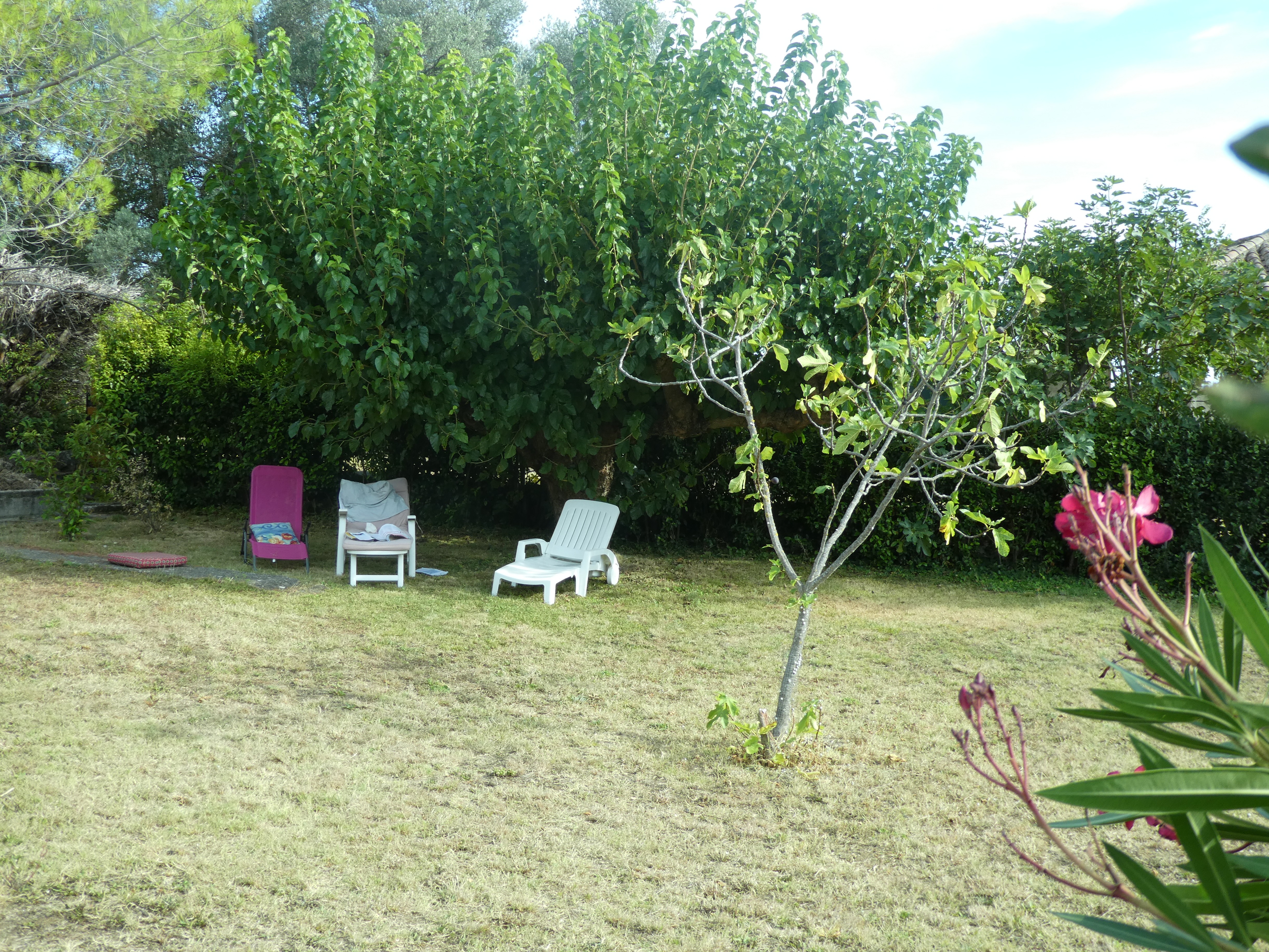 Photo n° 13 of the location