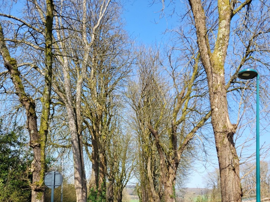 Photo n° 16 de la location