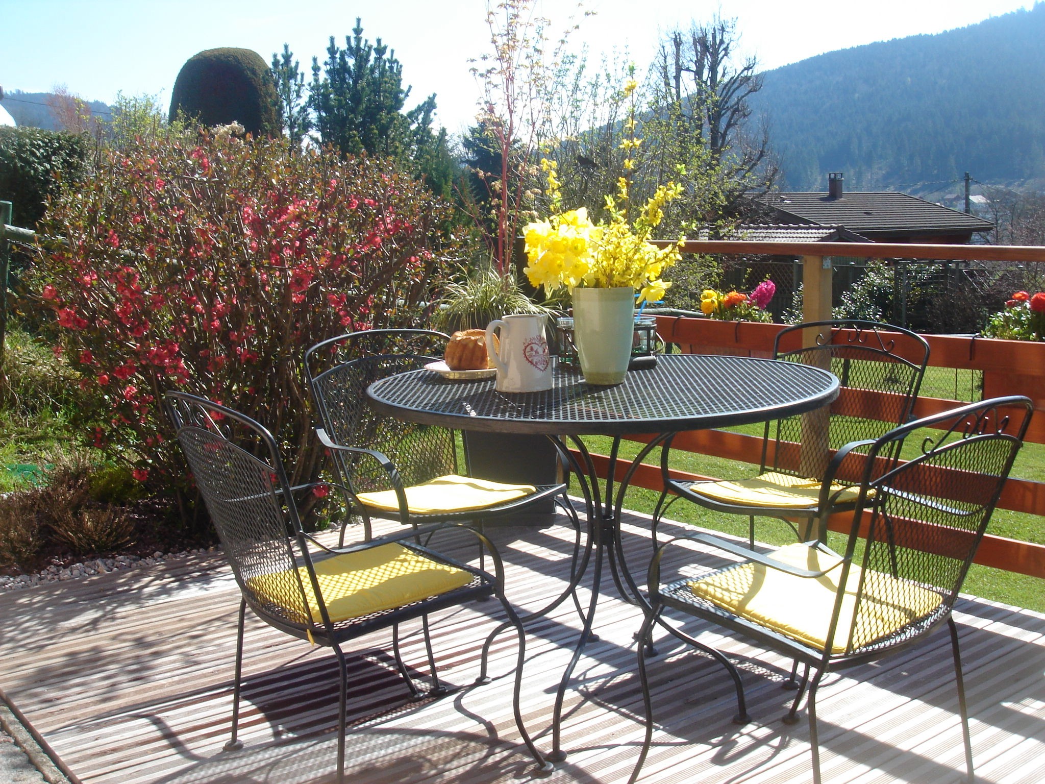 Terrasse rez-de-jardin - Chalet Nid Douillet