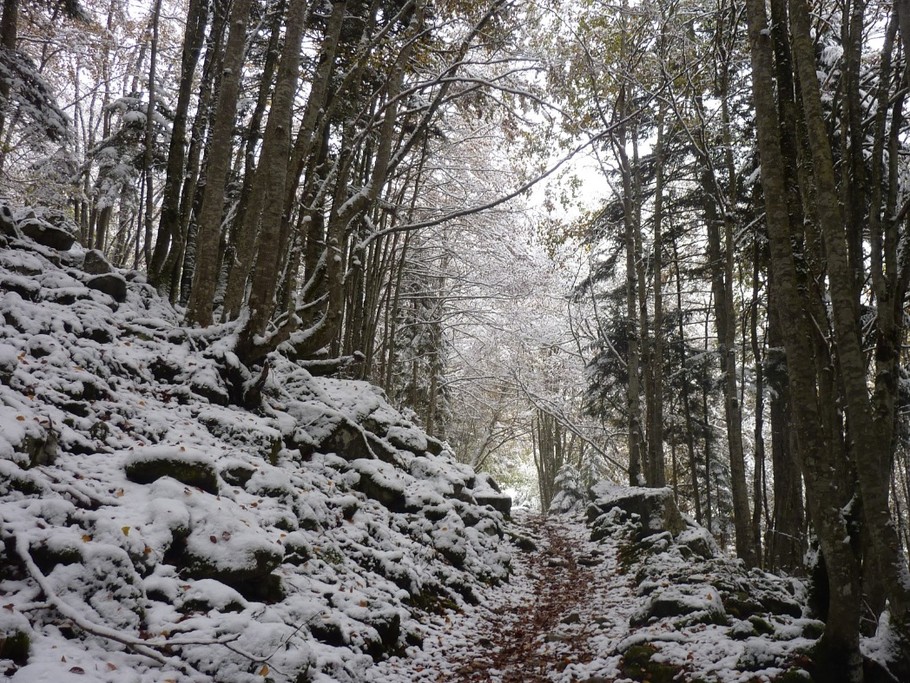 HIVER 11/2018 Chemin Demontzey