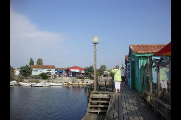 marché au port des salines
