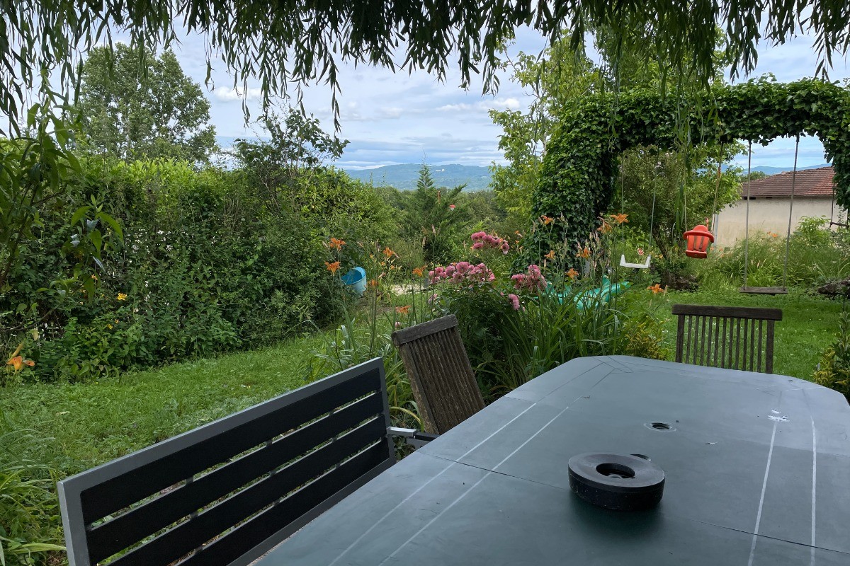Sous le saule. Au fond, Le Bugey et le chateau des Allymes.