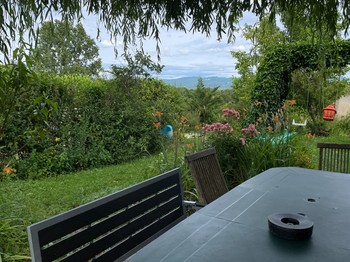 Sous le saule. Au fond, Le Bugey et le chateau des Allymes.
