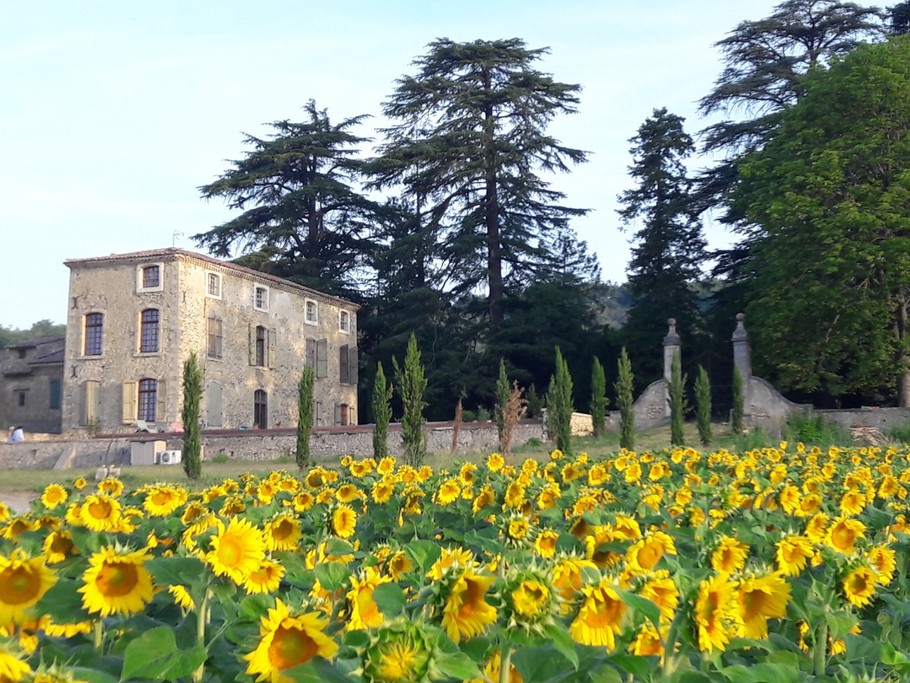 La Bastide de l'Adrech, Gîte des Collines, Manosque, Provence