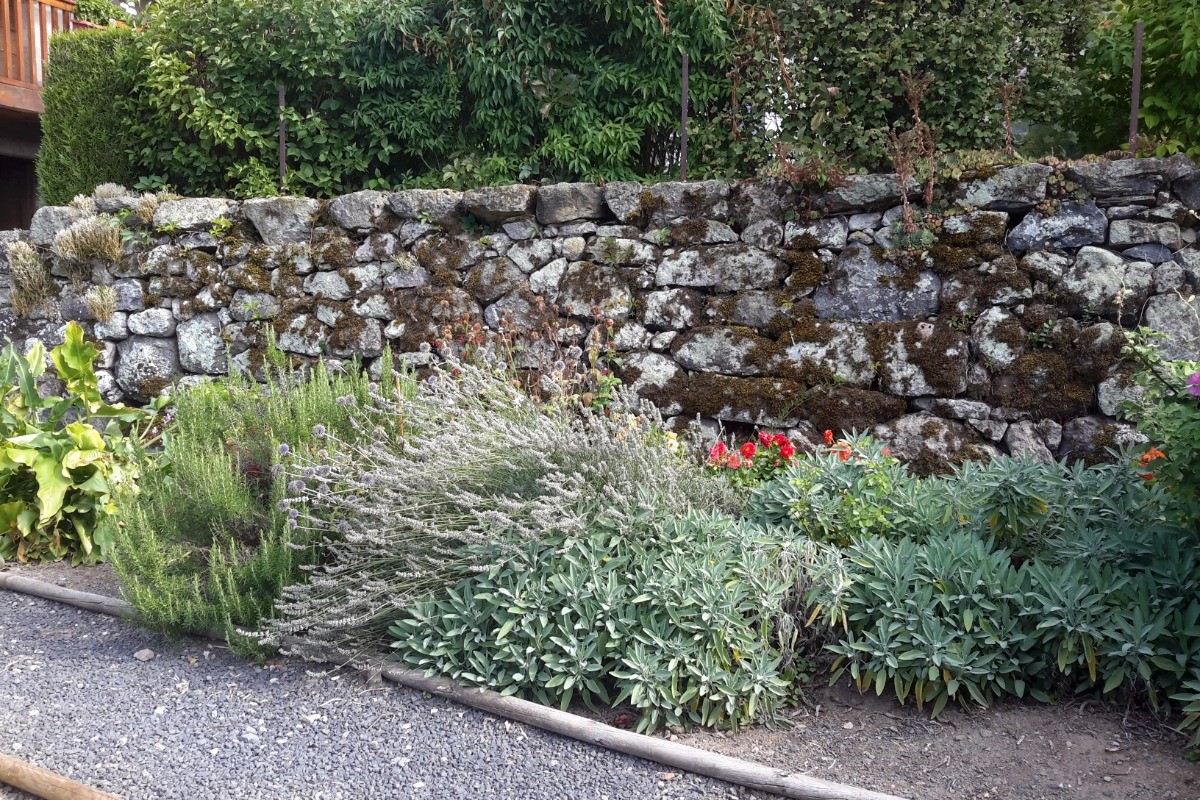 le jardin