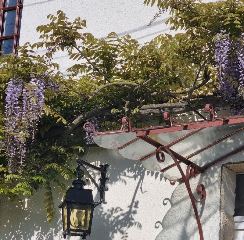 Photo n° 14 de la location