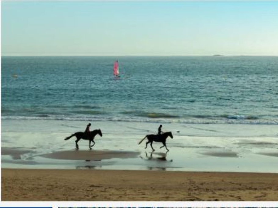 Equitation/plage