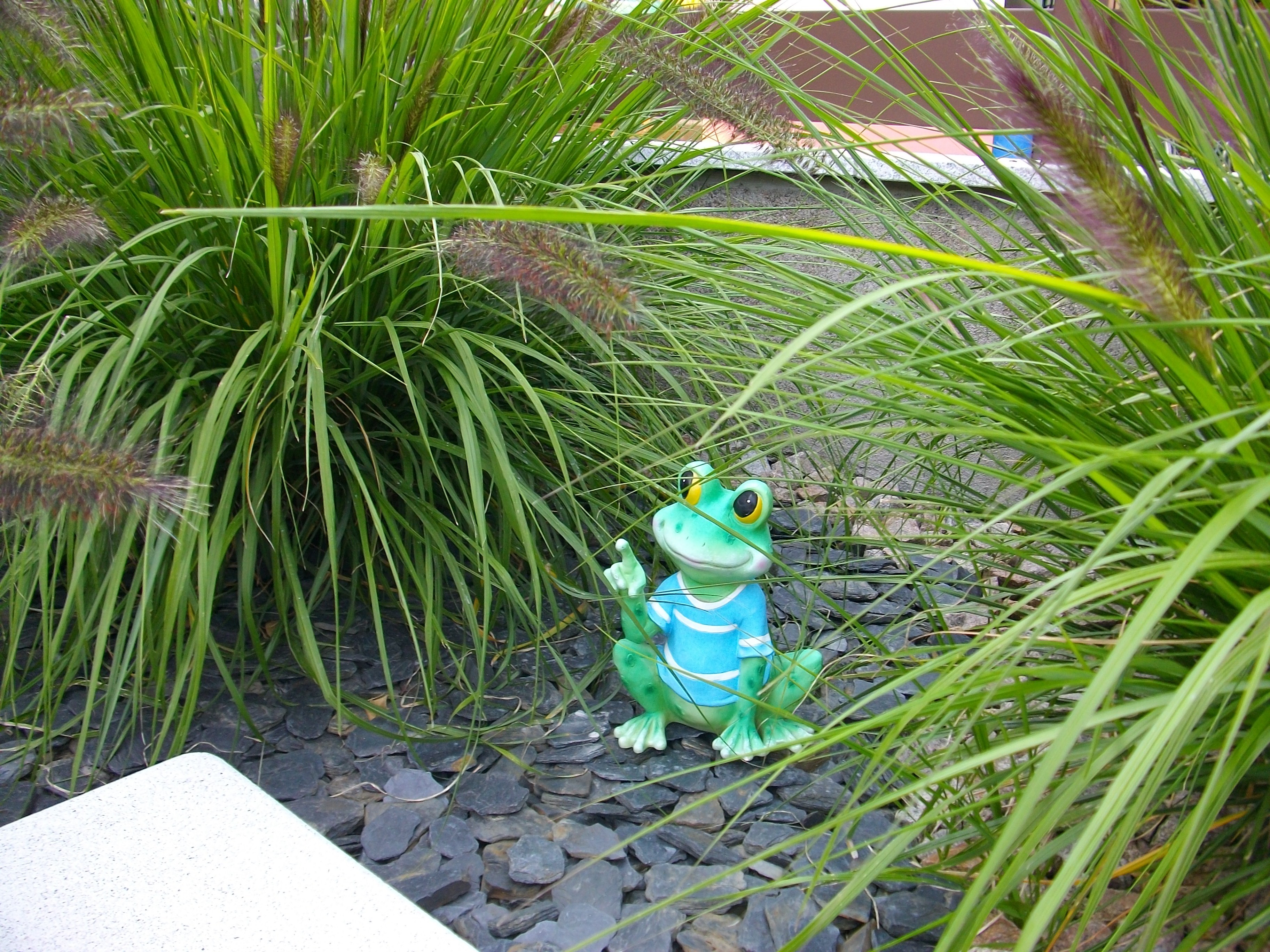 Photo n° 18 of the location