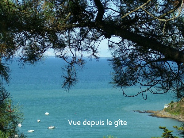 vue depuis la terrasse