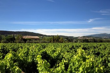 Environnement du gîte