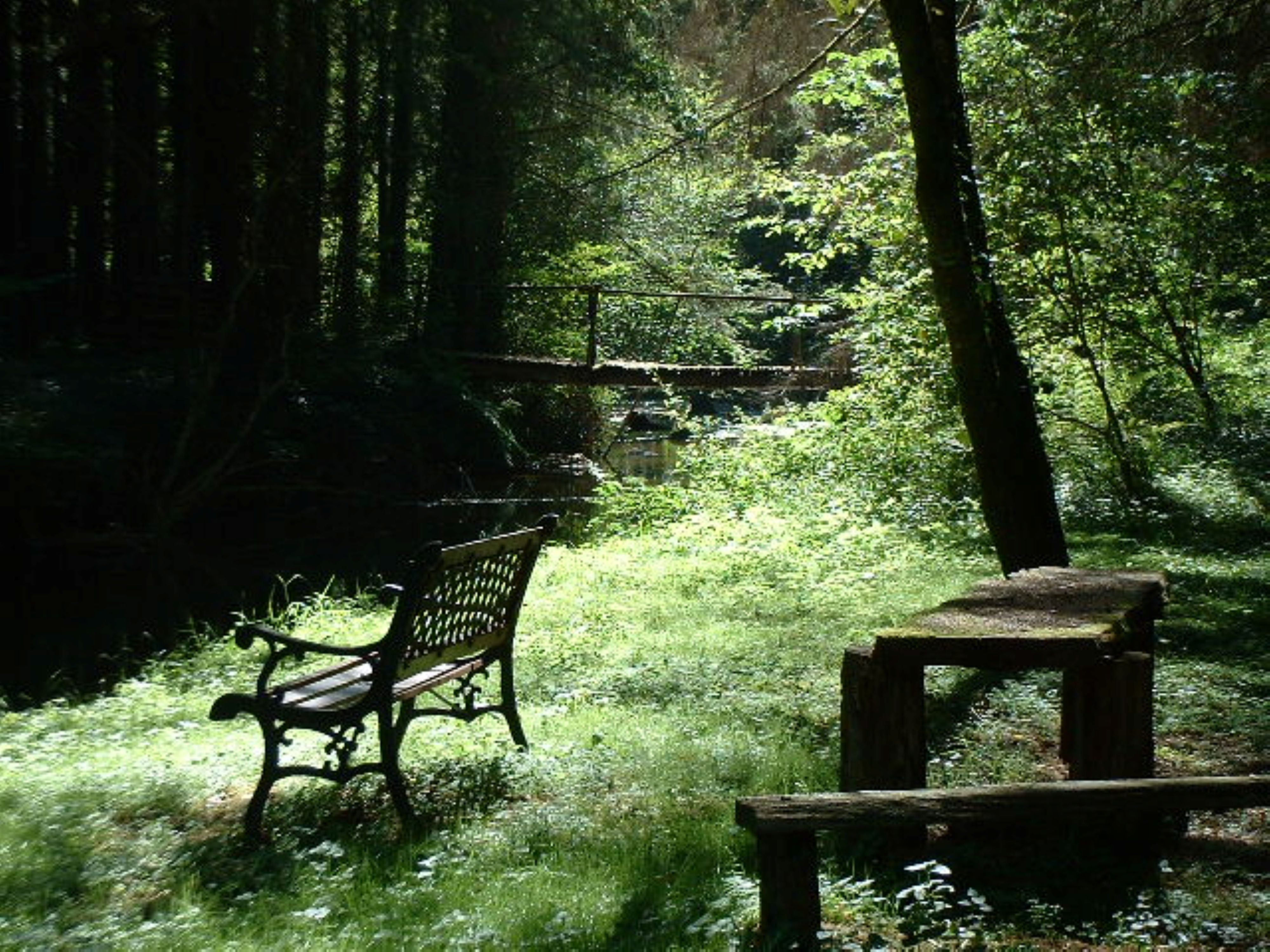 Espace pic nic