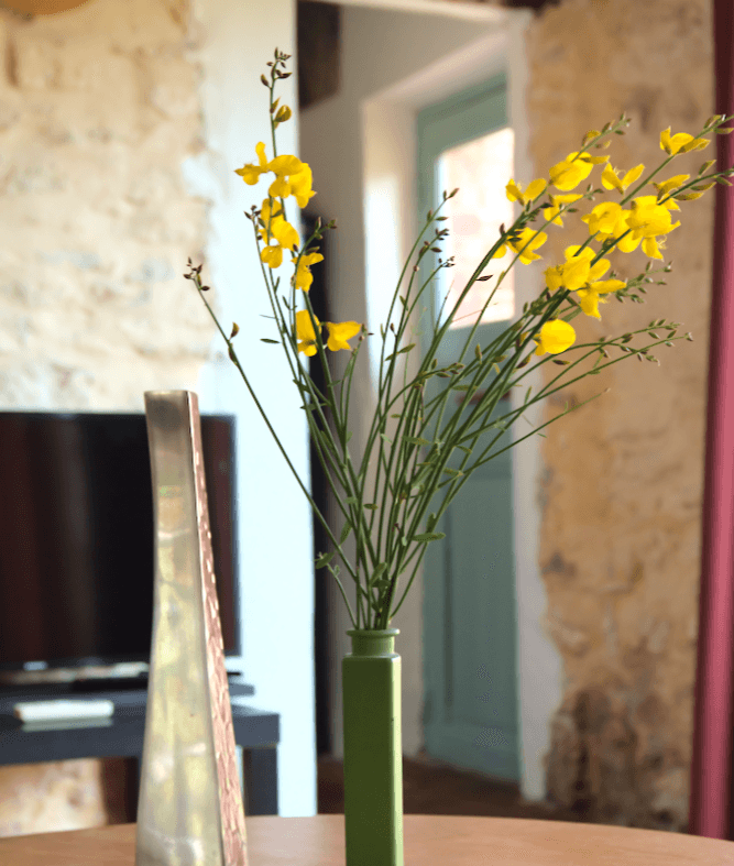 Photo n° 17 de la location