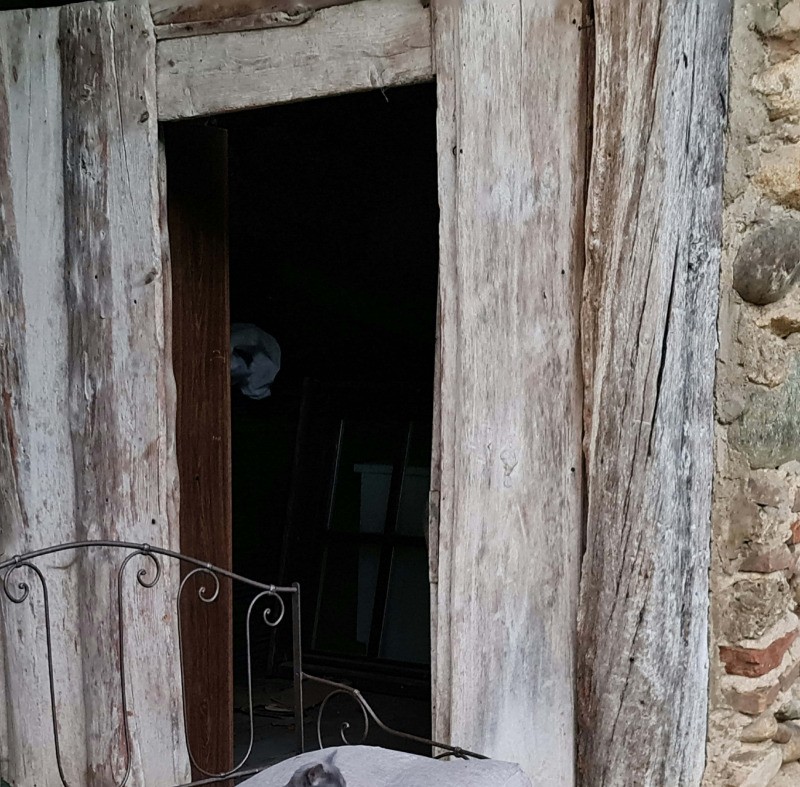 Une des mascottes de Grand Maison, qui adore les câlins !