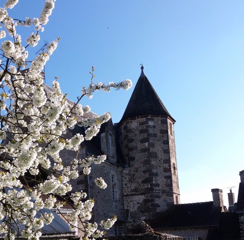 Photo n° 6 of the location