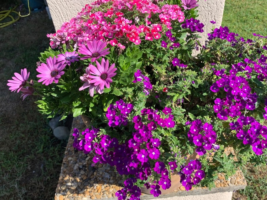 Photo n° 8 of the location